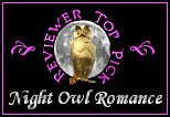 Night Owl Romance TOP PICK!